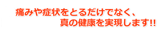 さわやか整体院では痛みや症状をとるだけでなく、真の健康を実現します!!