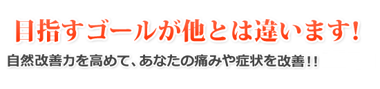 目指すゴールが他とは違います！「自分で自分を改善しようとする力」を高めて、あなたの痛みや症状をしっかり改善！！